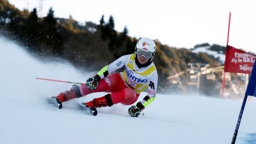 A Folgaria Slovenian dominion in the giant FIS which sees Robnik winning, but an excellent Bertani fourth