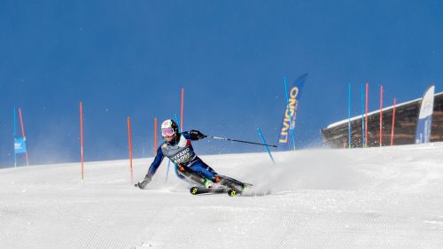 Livigno also welcomes the blue slalomists: Gross and companions at work waiting for the gigantists