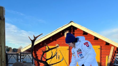 Petra Vlhova's day off in Levi? Meet his three reindeer and aim ... poker!