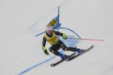 Alpine Skiing