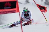Men’s Alpine Skiing