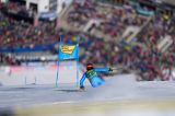 Alpine Skiing