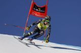 Alpine Skiing