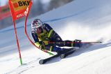 Men’s Alpine Skiing