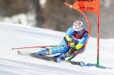 Men’s Alpine Skiing