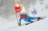 Men’s Alpine Skiing