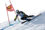 Men’s Alpine Skiing