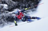 Men’s Alpine Skiing