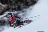 Men’s Alpine Skiing