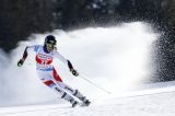 Alpine Skiing
