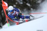 Alpine Skiing