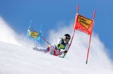 Women’s Alpine Skiing
