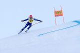 Men’s Alpine Skiing