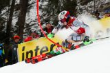 Men’s Alpine Skiing
