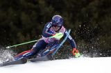 Men’s Alpine Skiing