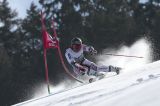 Men’s Alpine Skiing