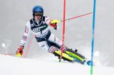 Men’s Alpine Skiing