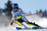 Men’s Alpine Skiing