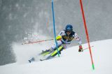 Men’s Alpine Skiing