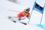Men’s Alpine Skiing