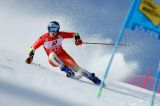 Men’s Alpine Skiing