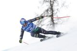 Men’s Alpine Skiing