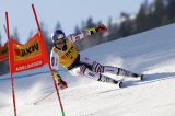 Men’s Alpine Skiing