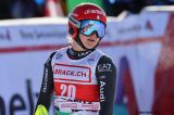 Alpine Skiing