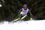 Men’s Alpine Skiing