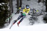 Men’s Alpine Skiing