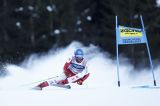 Men’s Alpine Skiing