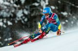Women’s Alpine Skiing