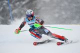 Men’s Alpine Skiing