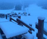 Alpine Skiing