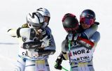 Alpine Skiing