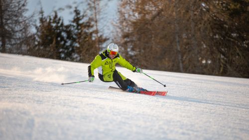 Volkl racetiger gs master federico vietti