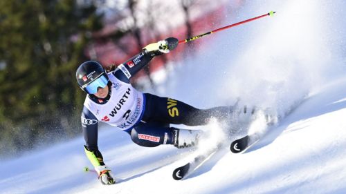 Hector e Grenier, due stelle attese a Soelden con... Girardi e Miniotti: i coach italiani che guidano Svezia e Canada