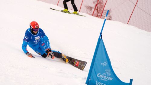 aaa. Deromedis-Tomasoni, che