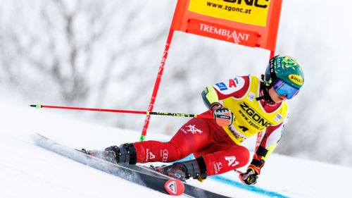 Sorpresa nell'Austria per K. Gora: Hoerhager rientra subito in slalom, Scheib in difesa del pettorale rosso in gigante
