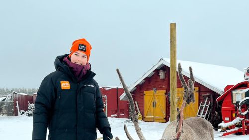 Petra Vlhova fa visita alle sue renne e sogna un altro colpo a Levi: sabato e domenica la grande sfida dello slalom