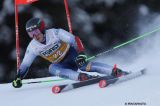 Men’s Alpine Skiing