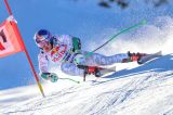 Men’s Alpine Skiing