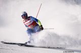 Men’s Alpine Skiing