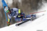 Men’s Alpine Skiing