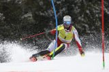 Men’s Alpine Skiing
