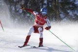 Men’s Alpine Skiing