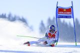 Men’s Alpine Skiing