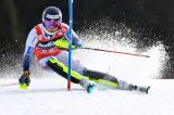 Men’s Alpine Skiing