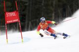 Men’s Alpine Skiing