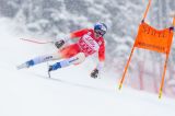 Men’s Alpine Skiing